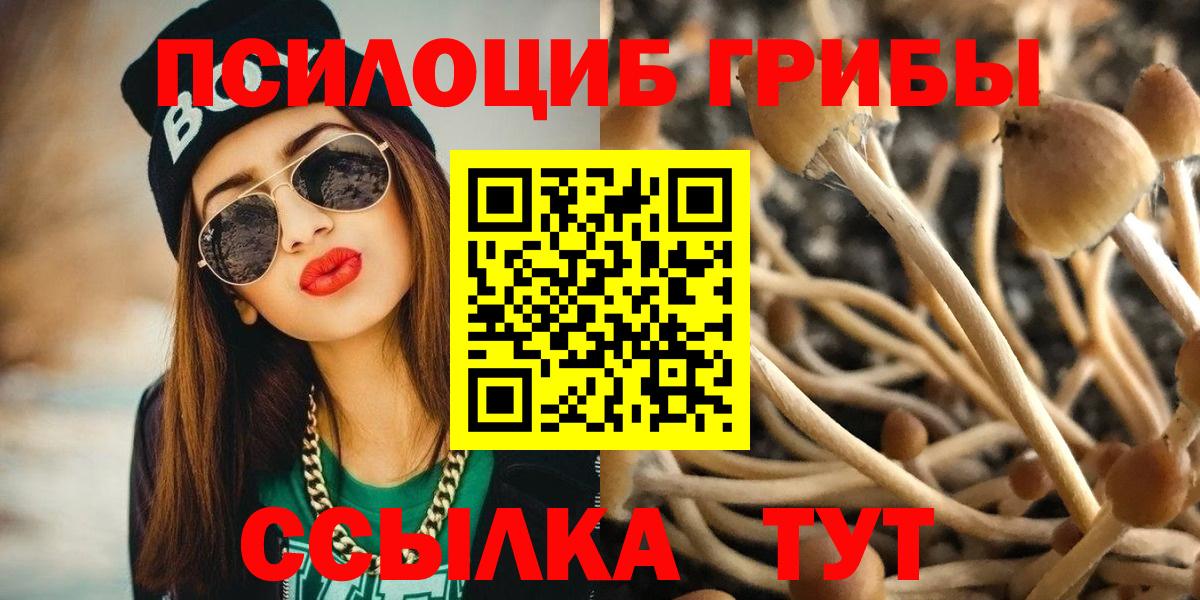 Переславль-Залесский  Псилоцибиновые грибы ЛСД  Галлюциногенные грибы Cubensis  Вход с VPN 